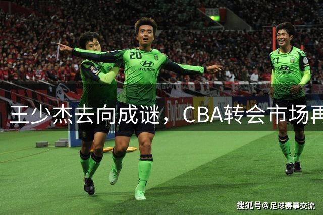 王少杰去向成谜，CBA转会市场再掀波澜